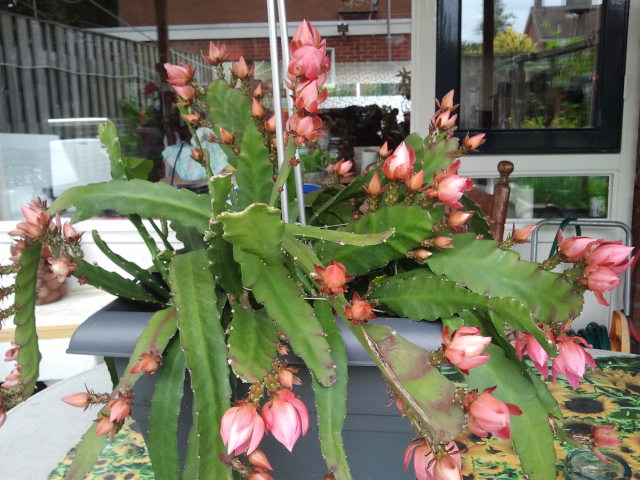 2014-06-19 09.16.53.jpg